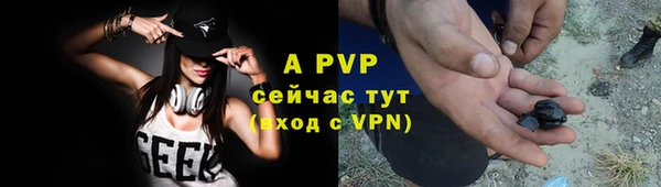гидра Осинники