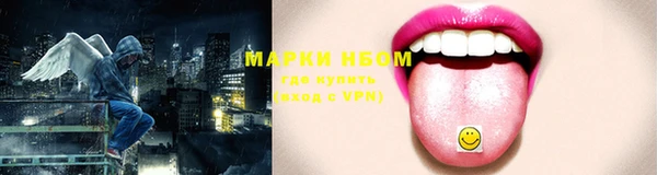 гидра Осинники