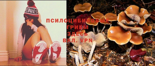 мдма Осташков
