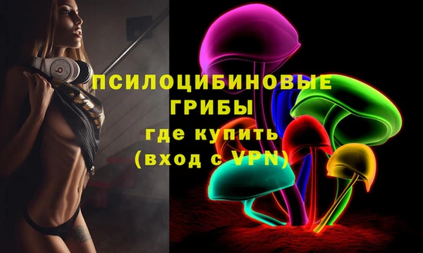 гидра Осинники
